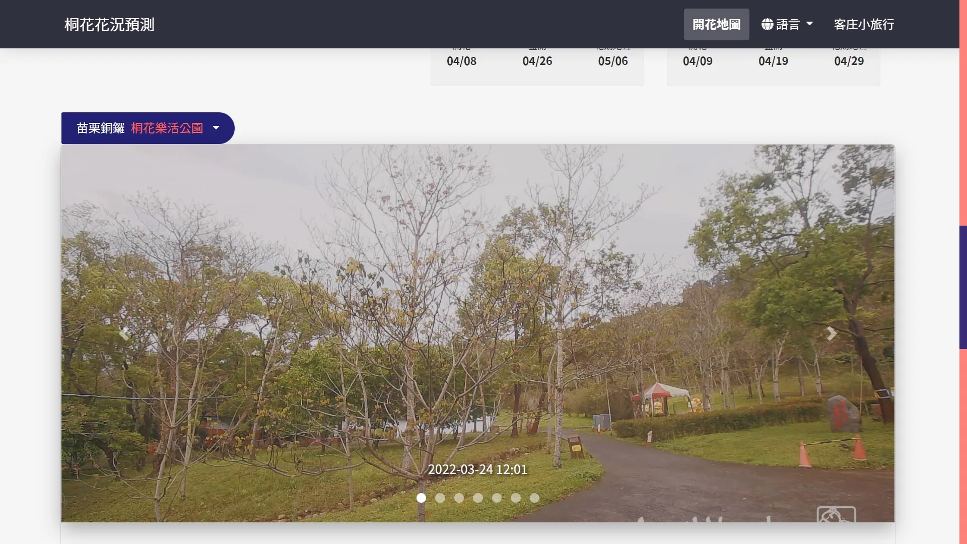 客庄小旅行網頁內提供即時影像供大眾查詢桐花開花情形。