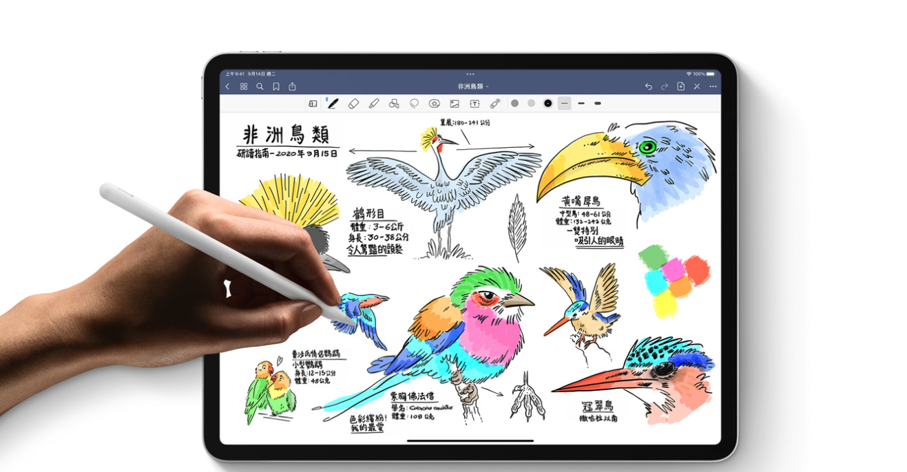 想得到iPad,快用客庄券就對了。翻攝Apple官網
