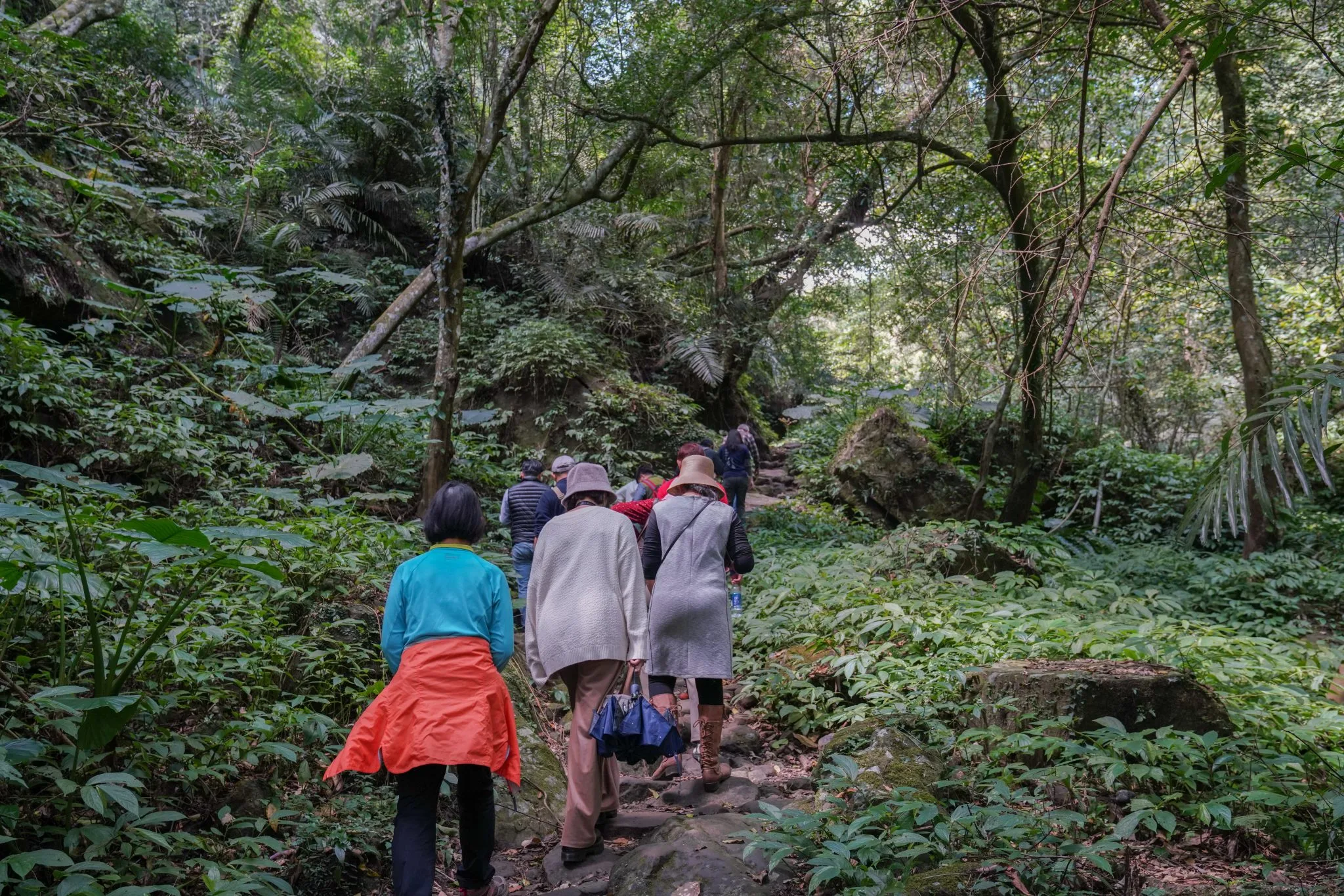 「樟之細路」已成民眾登山健行的好去處。洪俊傑攝
