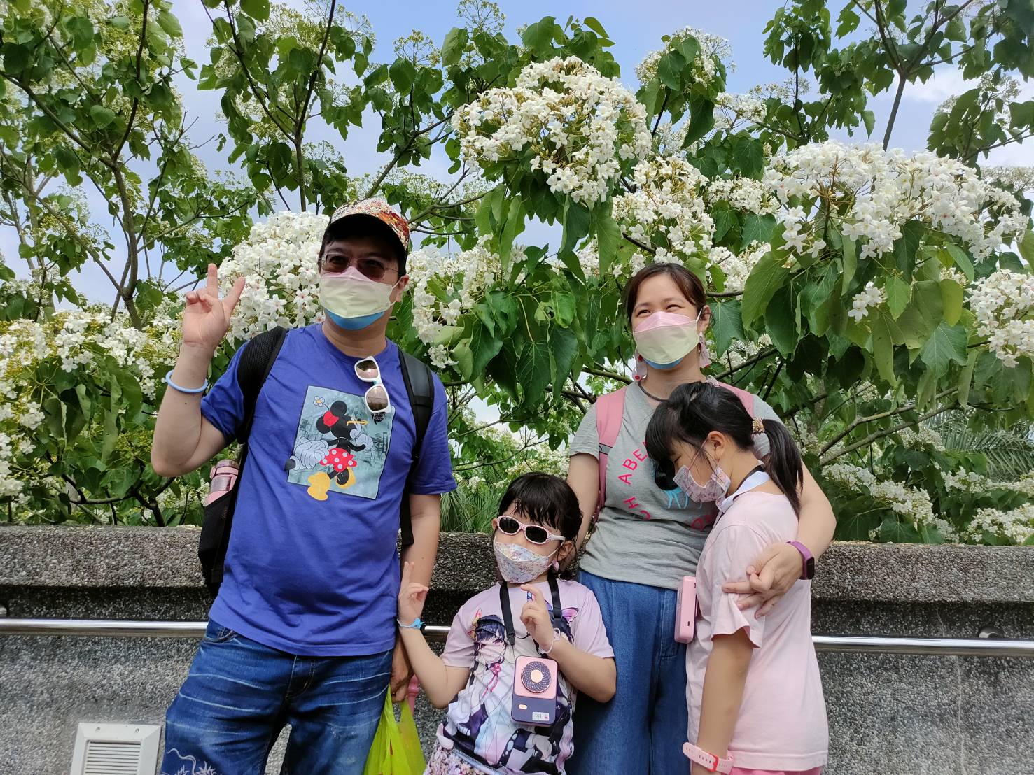 桃園桐花開了！4/30起5條古道輕旅行開放報名