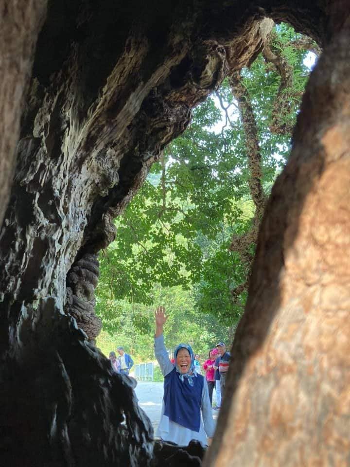 國姓鄉北梅社區樹齡約300年的茄苳神木,從樹洞特定角度可以「看見台灣圖形」而聲名大噪。讓自己在台灣圖形裡,是遊客最愛拍照打卡的取景視角。梅俊譯提供