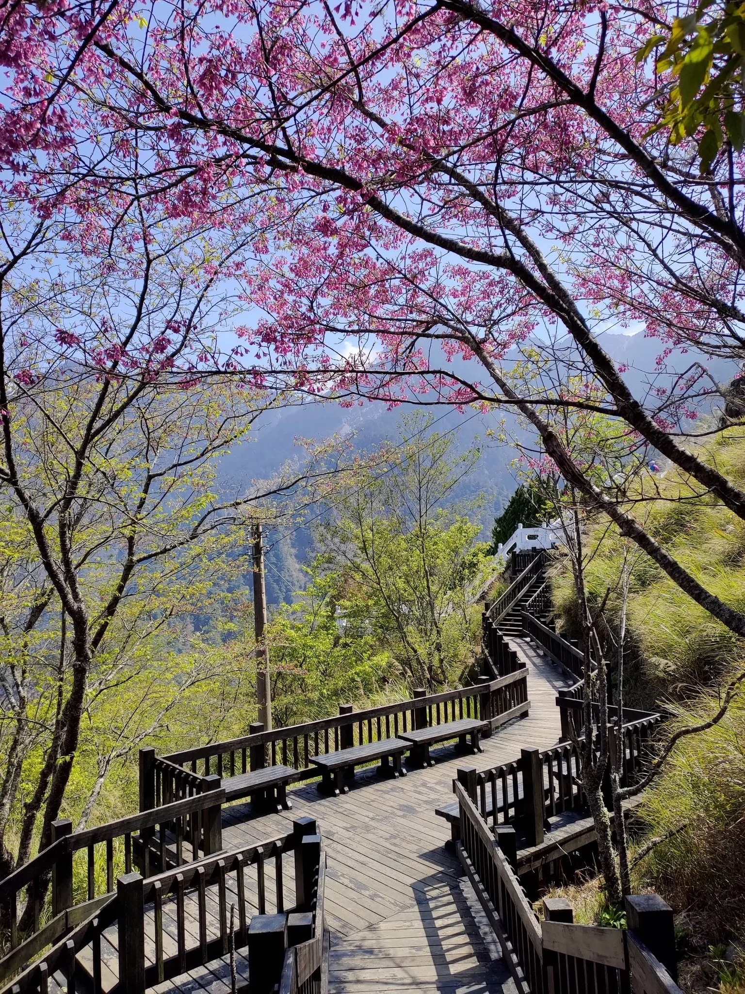 天池、長青祠一帶,也是來南橫必走景點。<br />登高望遠,既有山水的壯麗,也有人文歷史事蹟。照片:公路總局甲仙工務段