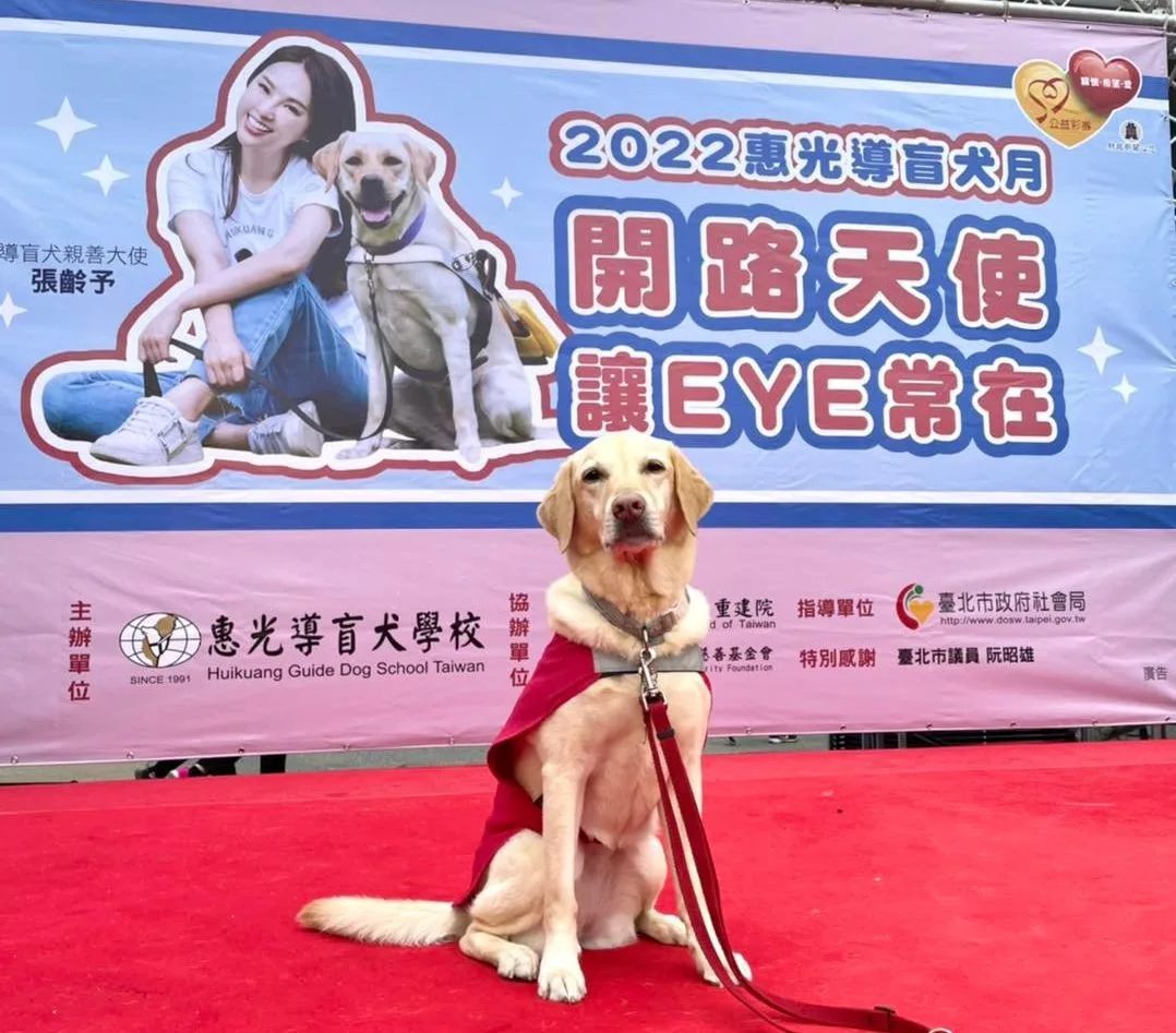 惠光導盲犬月「主播見面會」,明天下午將在林口舉辦。翻攝畫面