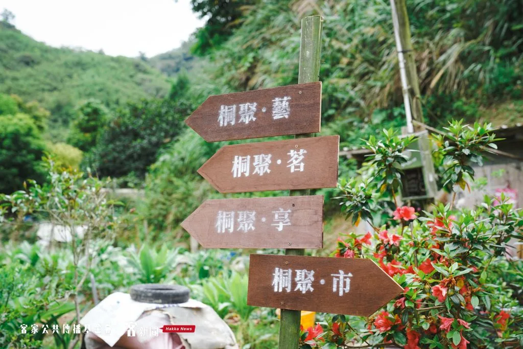 2022桐花祭-賞桐一期一會活動現場。宋佩遙攝。