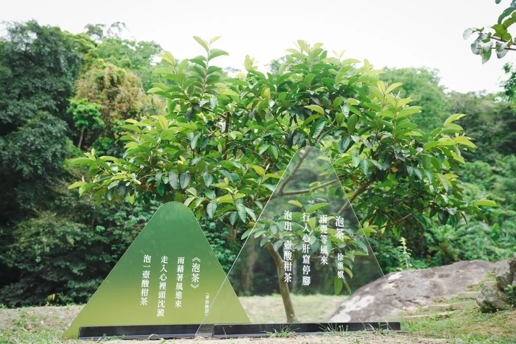 2022桐花祭-賞桐一期一會活動現場。宋佩遙攝。
