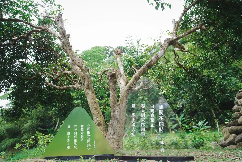 2022桐花祭-賞桐一期一會活動現場。宋佩遙攝。