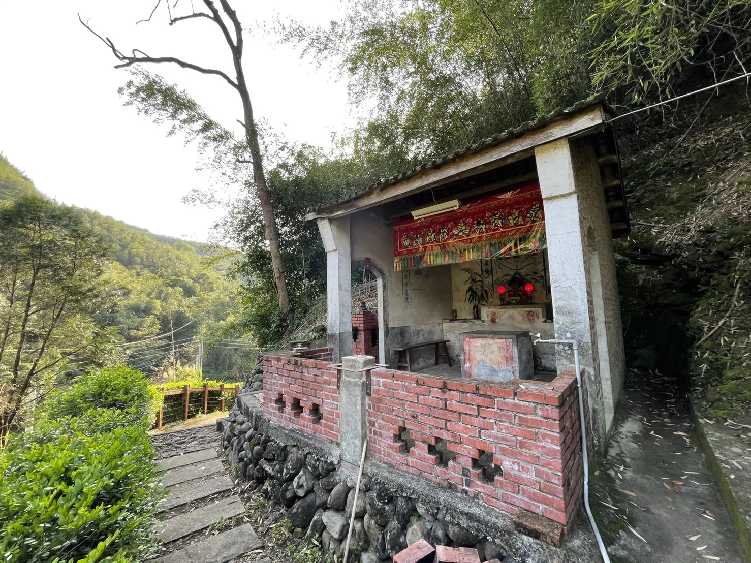 4月桐花陸續盛開，客委會將透過敬拜伯公祭儀，為桐花祭揭開序幕。宋佩遙攝