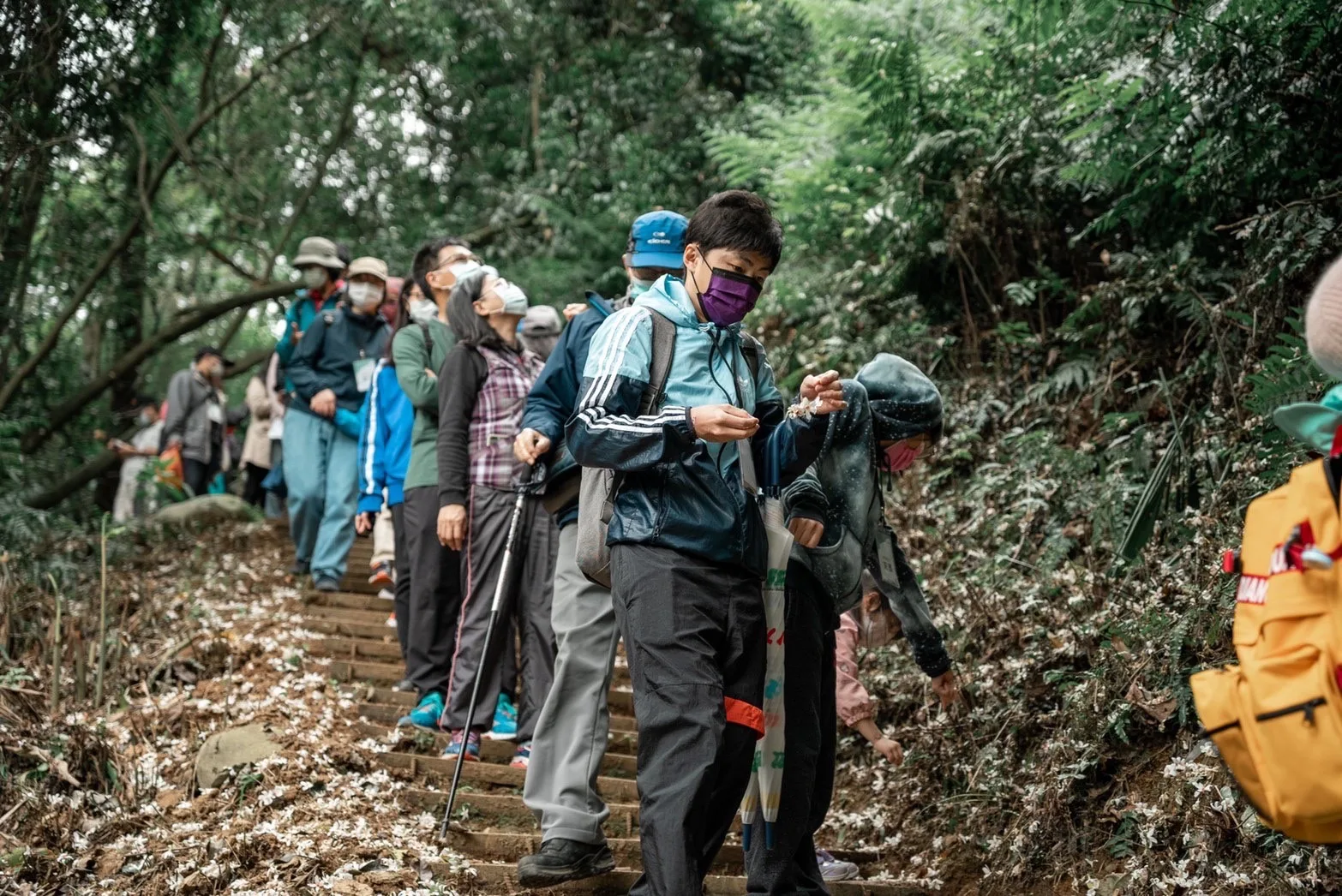 國際教育旅行112學年重啟　線上申請補助開跑