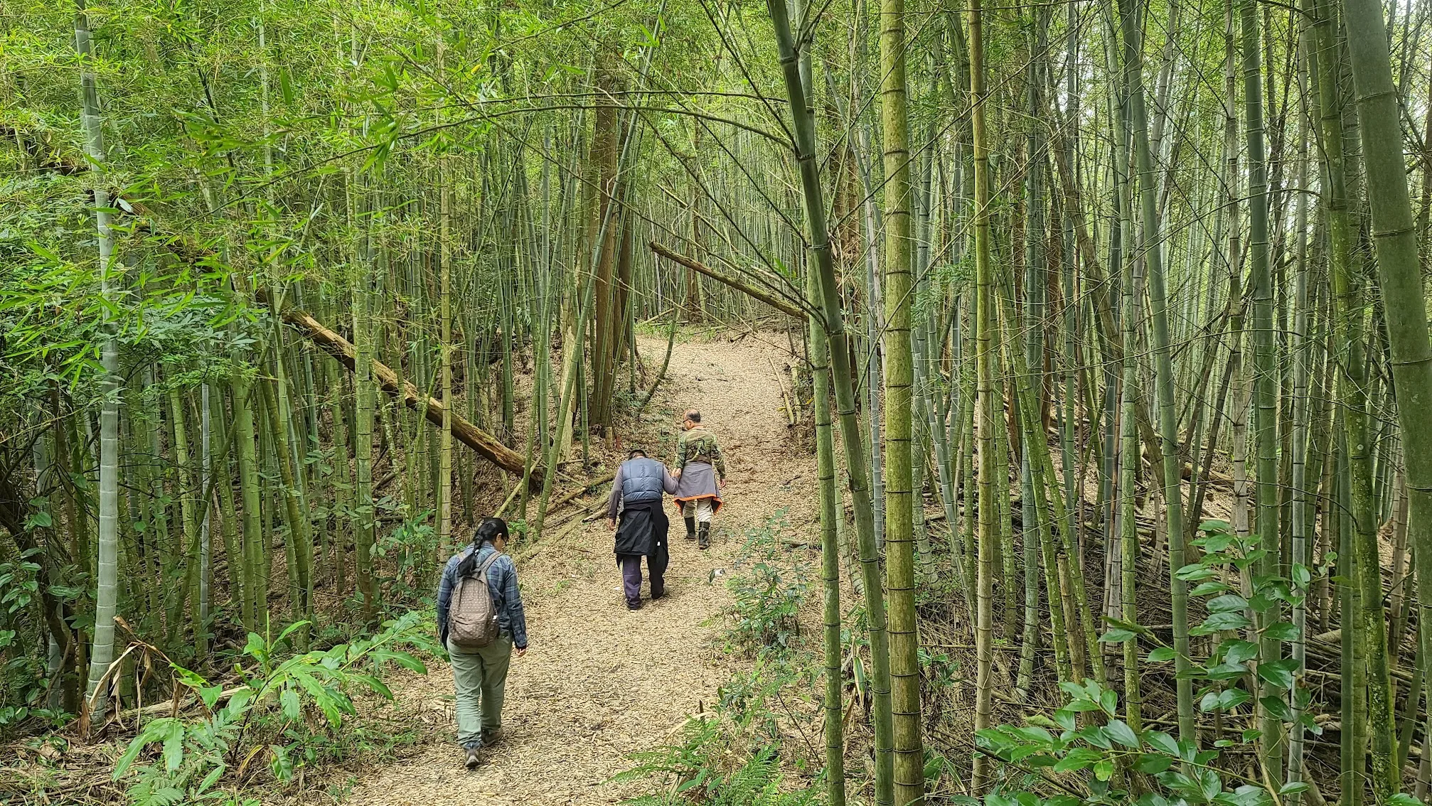 調查團成員深入山區尋找動物出沒的足跡。大茅埔調查團提供