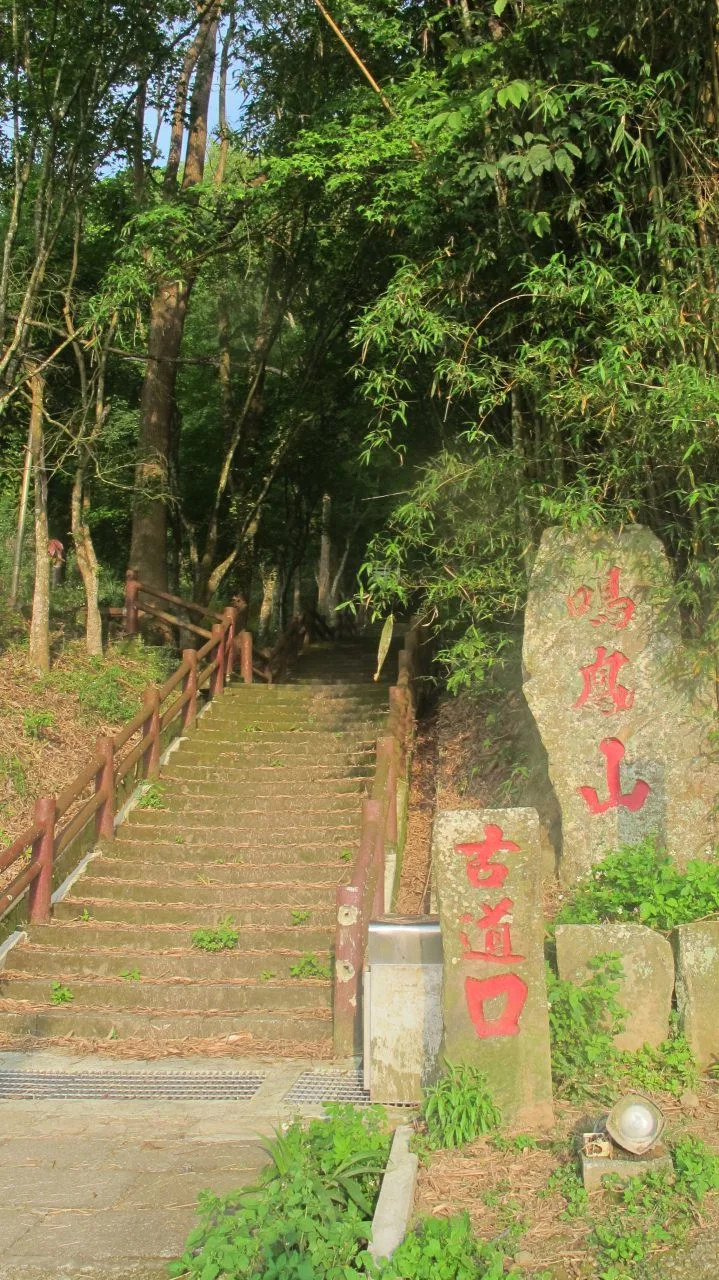上了頭屋鳴鳳山古道口，下山就是獅潭老街。何來美攝