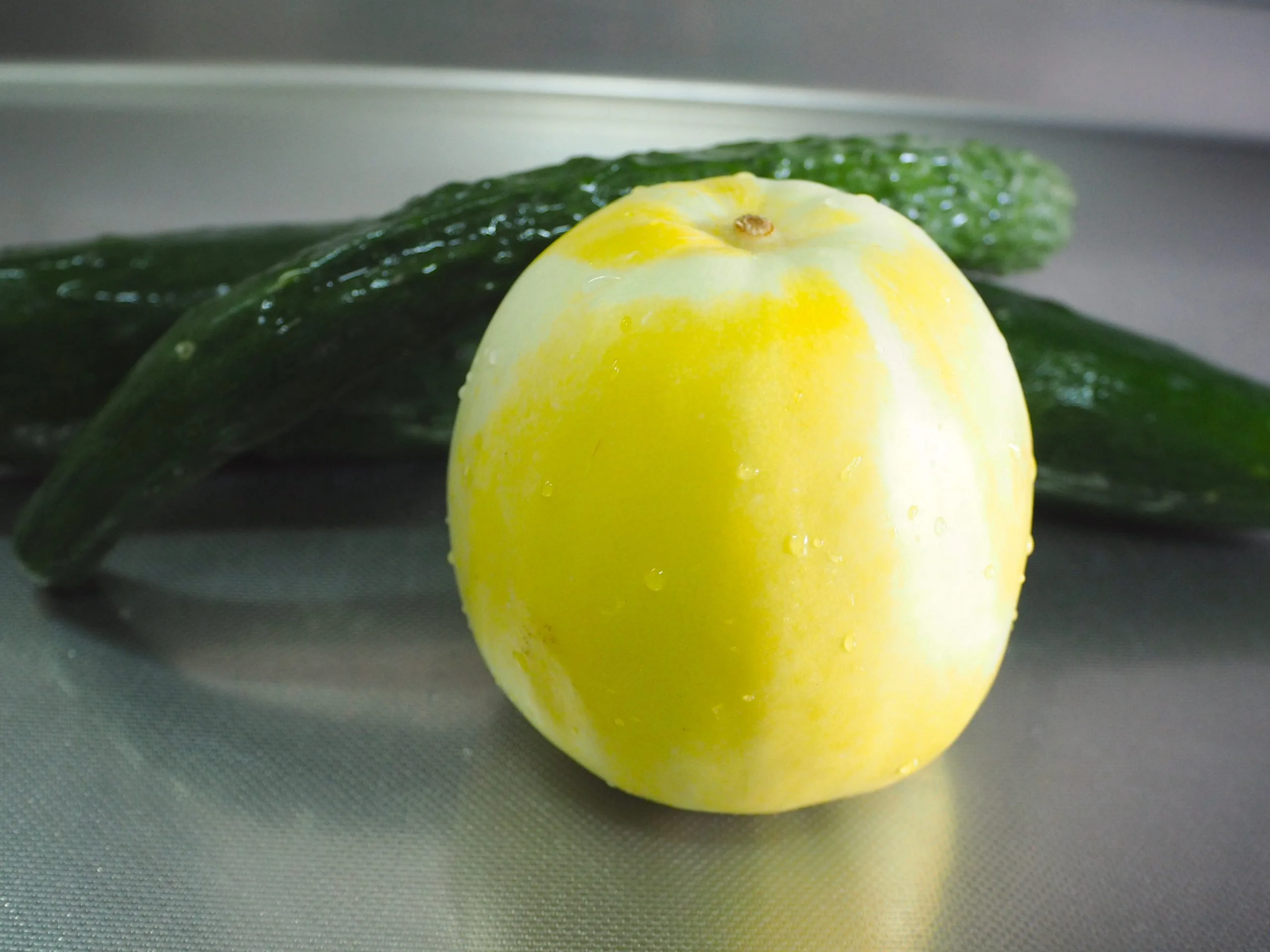 菴瓜是香瓜、現在多稱美濃瓜（Cucumis melo Linn.）的變異種。蕭秀琴攝