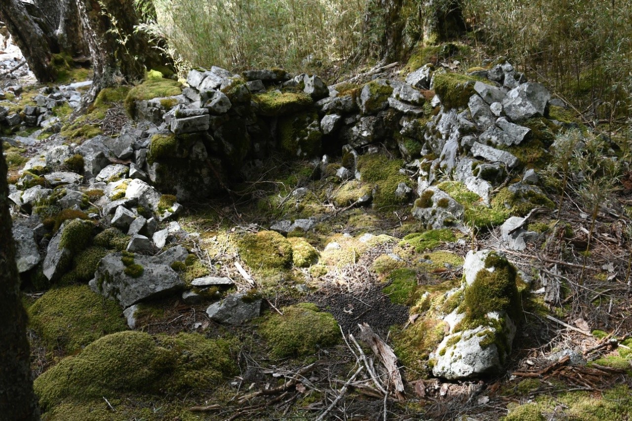 神秘族群建造高山石屋群？雪霸國家公園展開文史調查