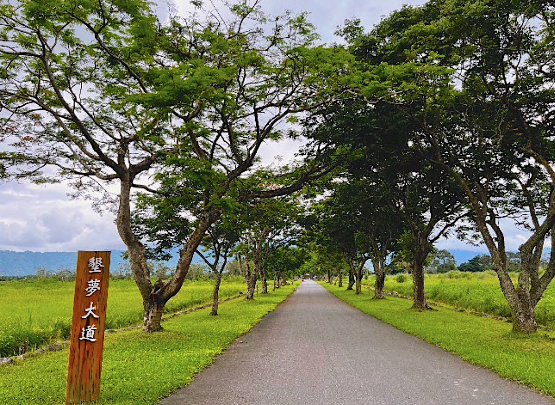園區內相當遼闊,眺往遠方的中央山脈,猶如世外桃源。新光兆豐休閒農場提供