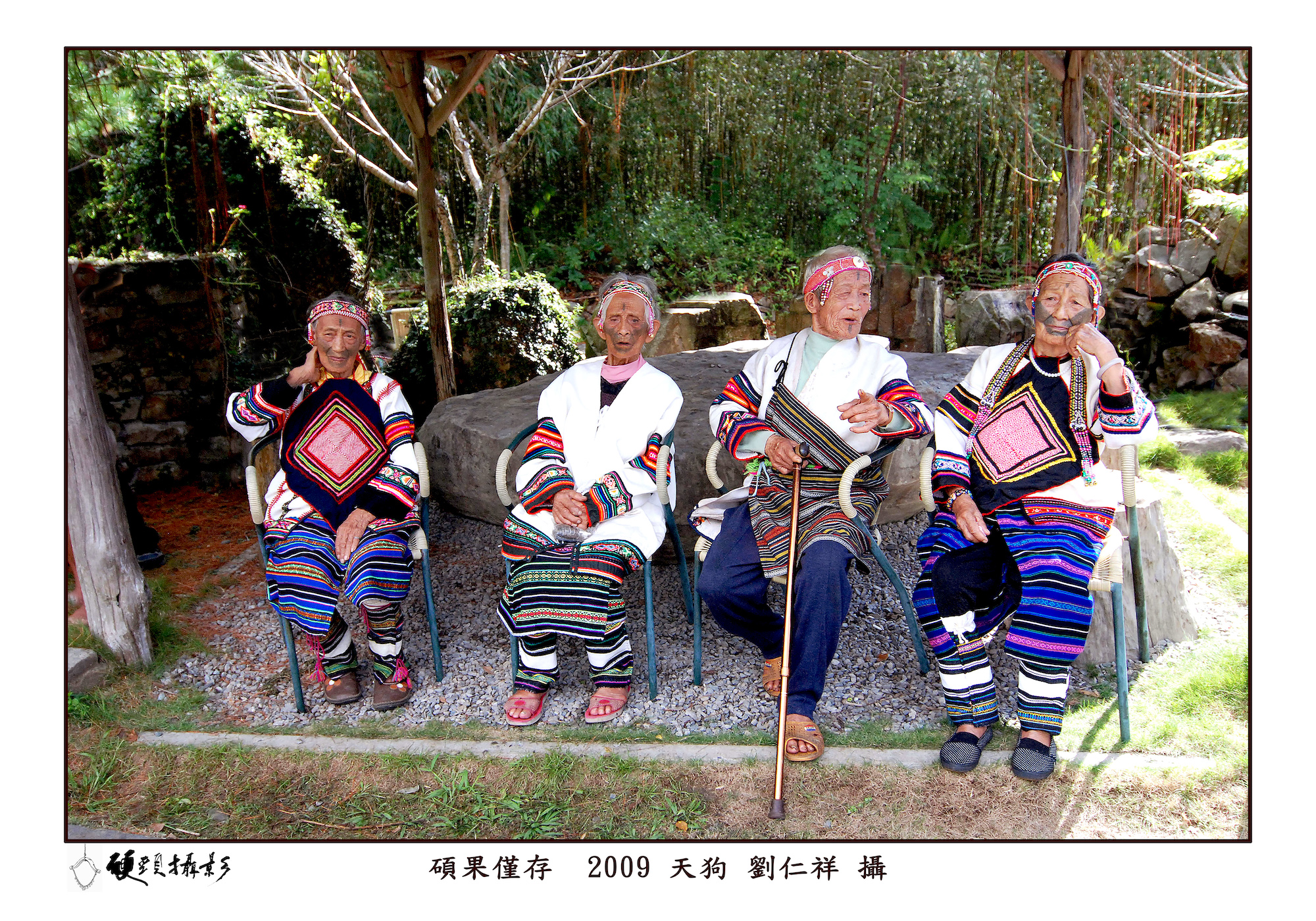 碩果僅存。2009年泰安天狗部落。劉仁祥攝