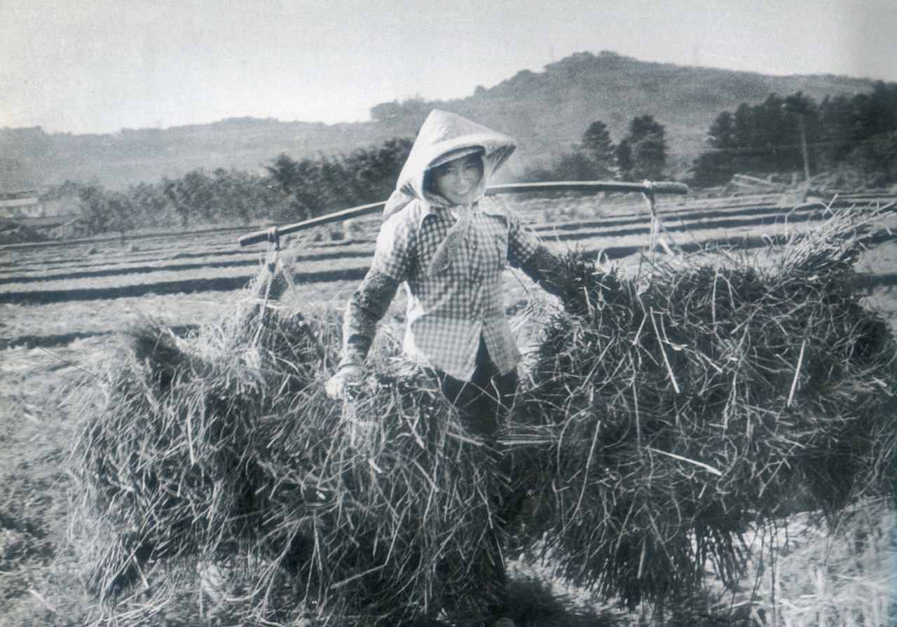 客家婦女開容笑面。1959年苗栗西山。邱德雲攝，作者提供