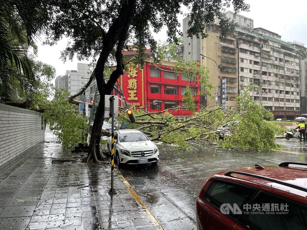 台北市午後對流雲系發展旺盛,一度降下大雨。警消下午獲報,在西寧北路附近路口有樹木倒塌,壓毀2車及交通號誌,所幸無人受傷。翻攝畫面