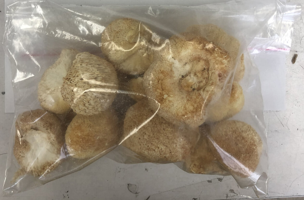中國猴頭菇半年農藥超標13次　食藥署將限45天說明     