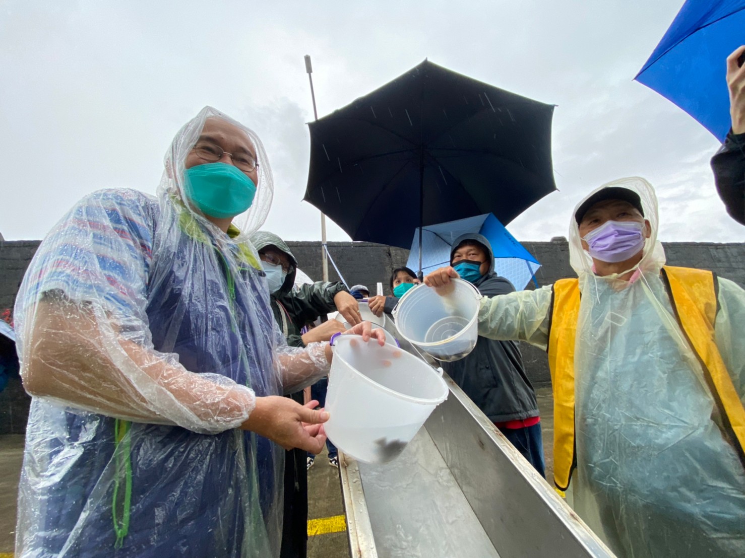 漁業署響應世界海洋日　放流魚苗提升保育意識
