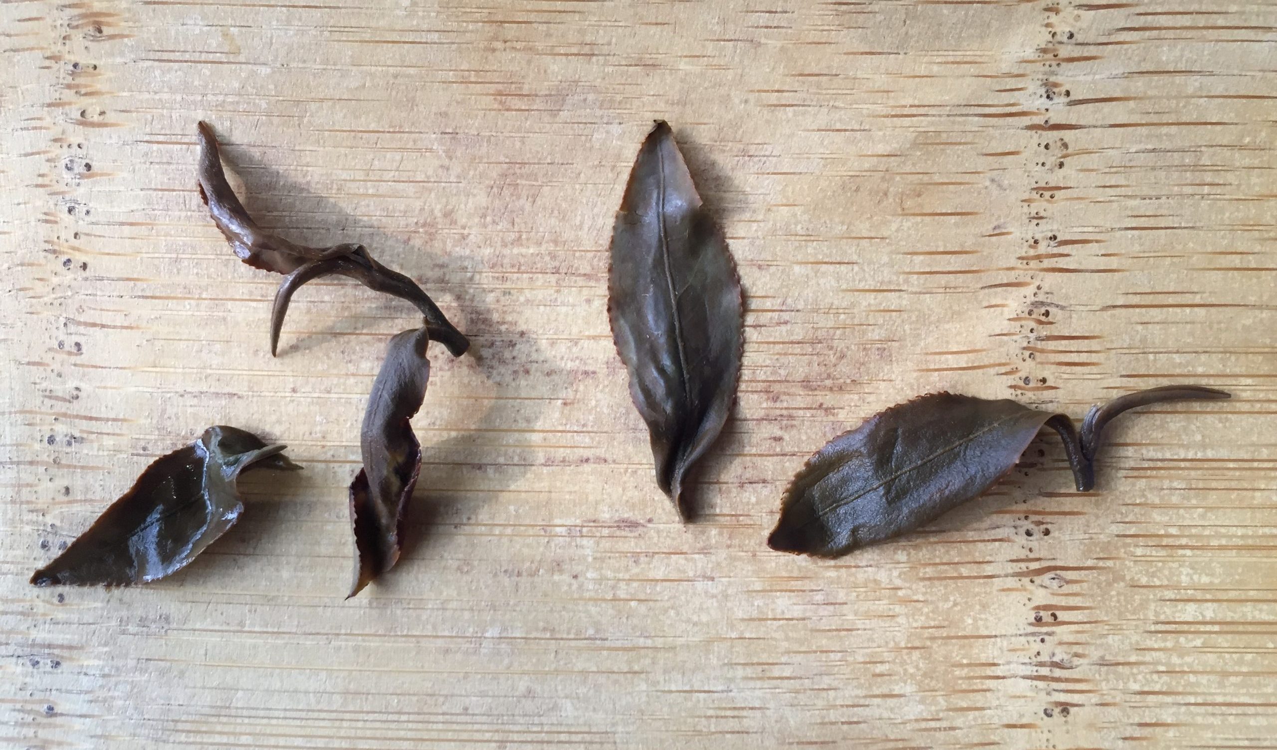 著蜒茶。蕭秀琴攝
