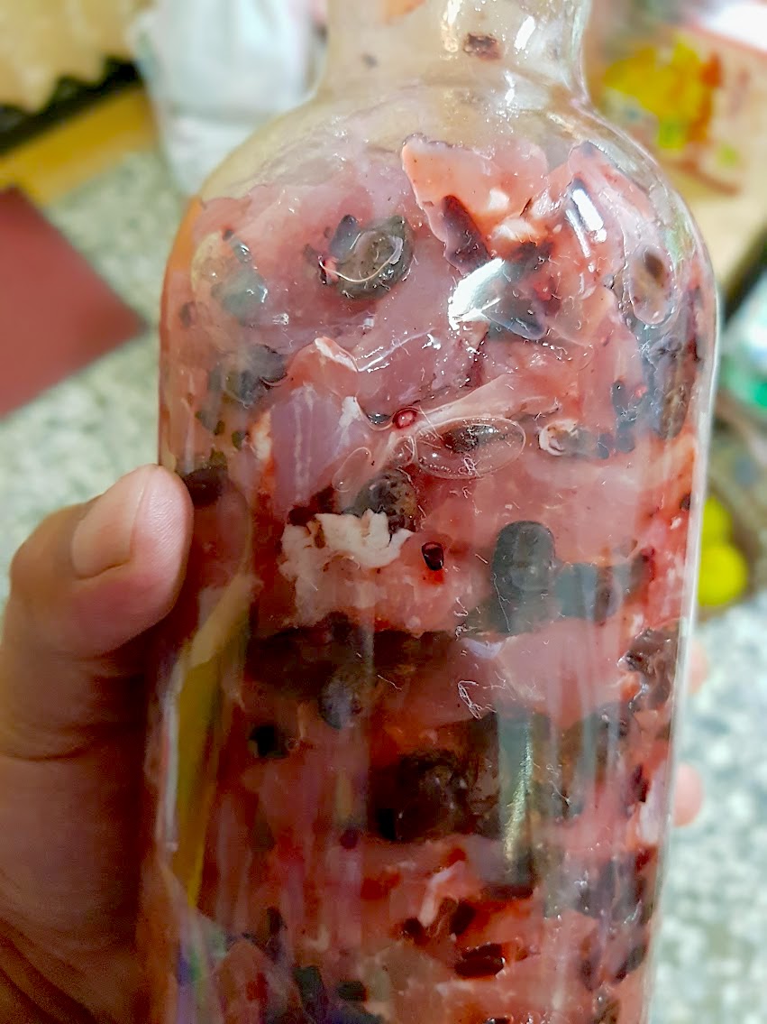 裝好適量食材後，再填充米酒後算大功告成，米酒必須淹沒整個食材，剩下的就交給時間慢慢在瓶內發酵熟成，發酵時間會依照天氣而定，一般在三個月至半年間。吳哲銘攝