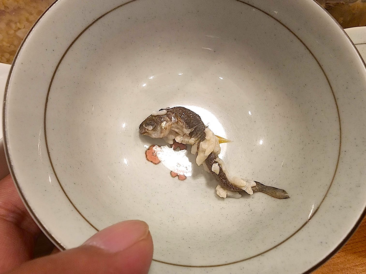 泰雅族米飯溪魚Tmmyan，其實魚類發酵後，魚骨會軟化甚至不見，因此筷子夾了都會使得它變形。吳哲銘攝