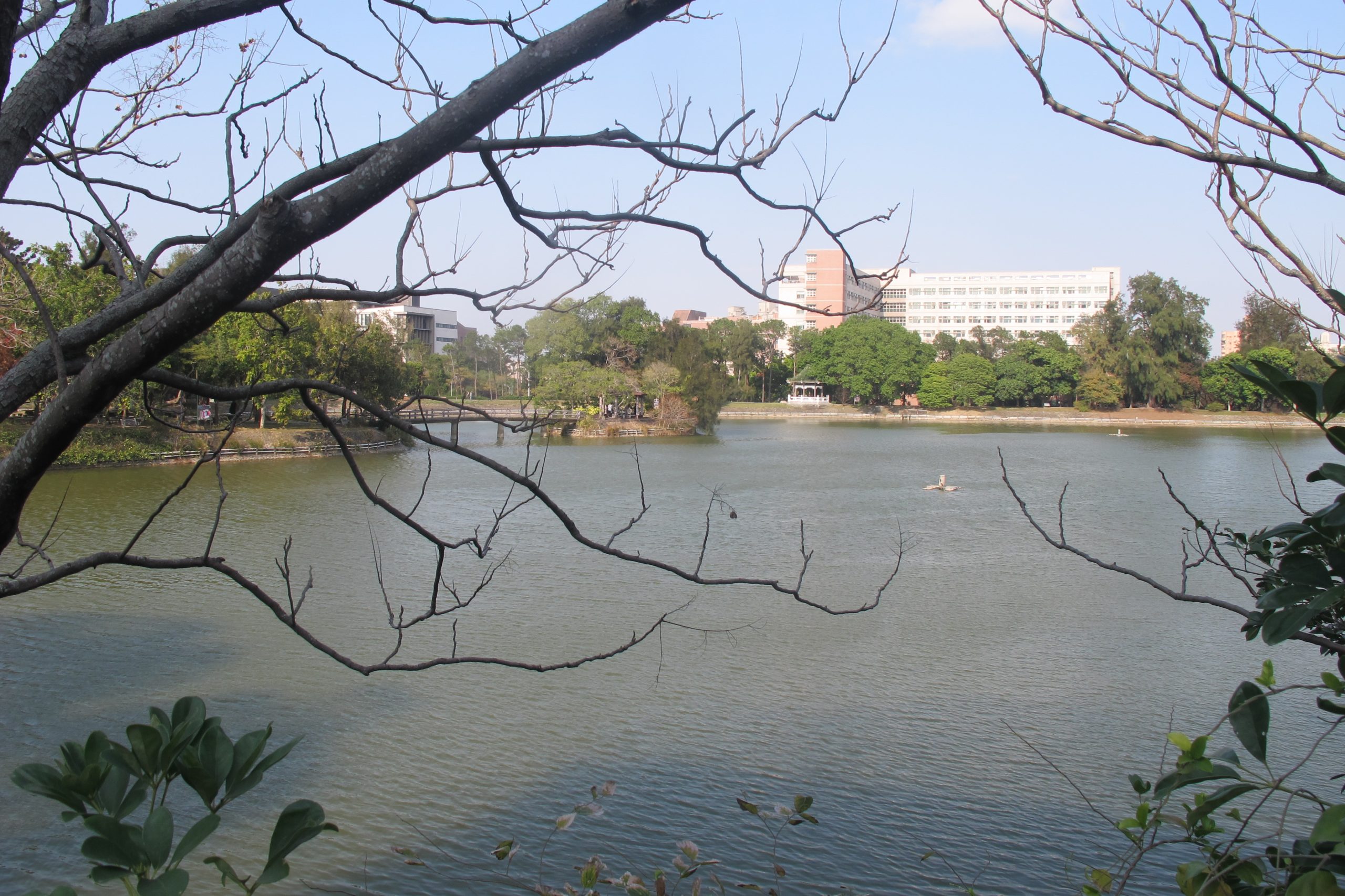 新竹縣市有清華、陽明交通大學，高等教育頂尖，圖為清大校園一景。何來美攝