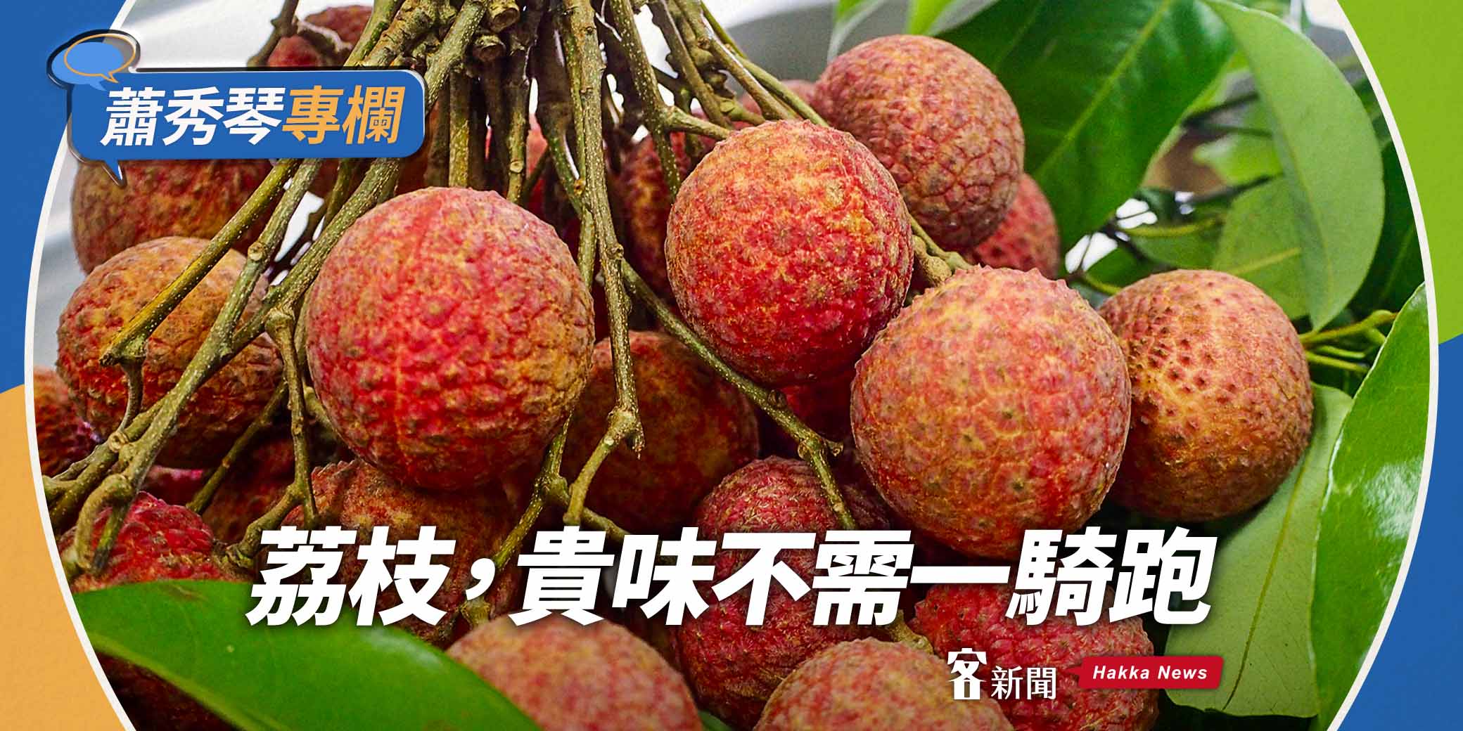 蕭秀琴專欄／荔枝，貴味不需一騎跑