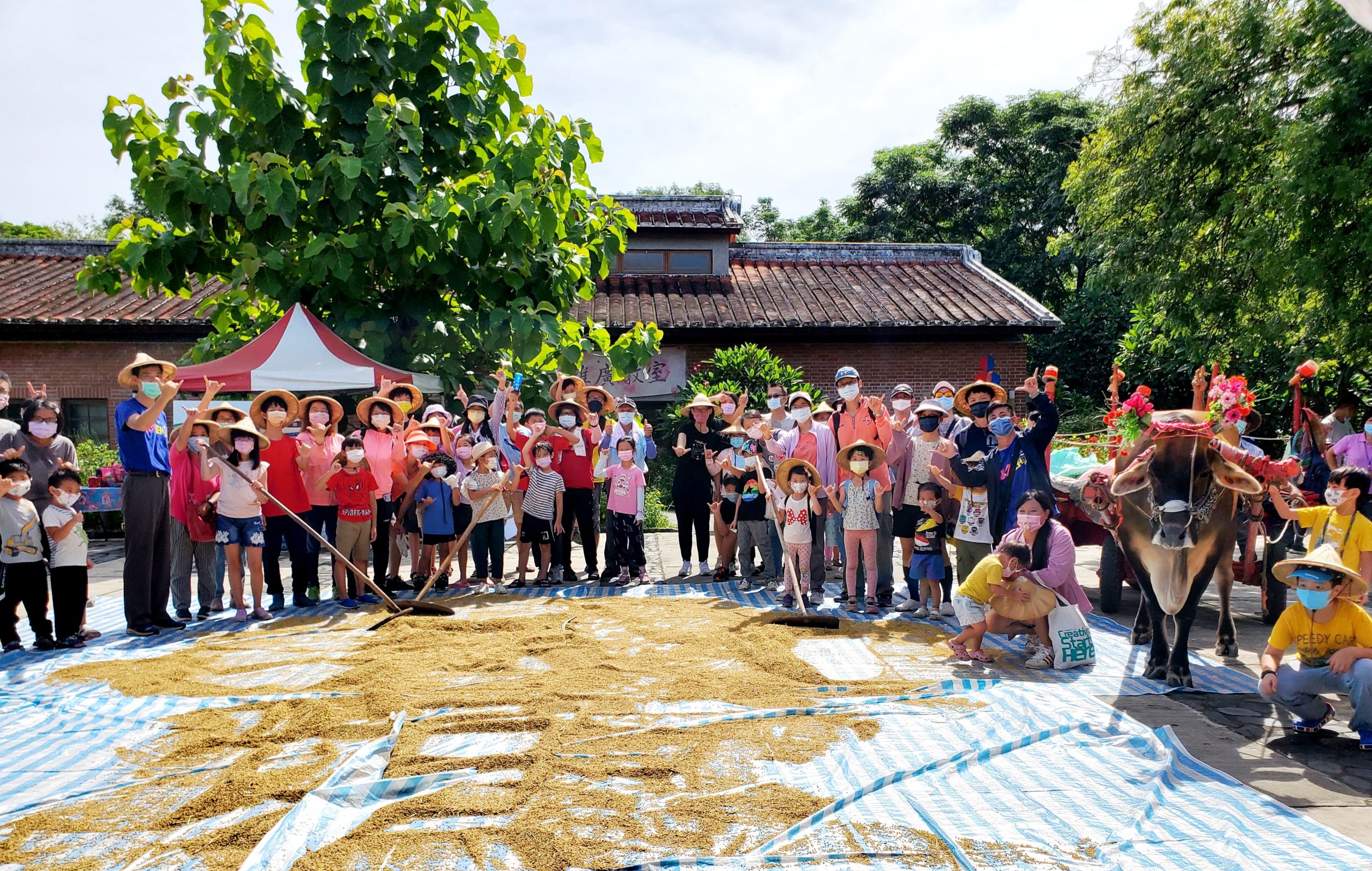 六堆園區割禾體驗活動，讓小朋友體驗到難得的大自然體驗，明白吃進嘴巴的食材，是如何從無到有的歷程。