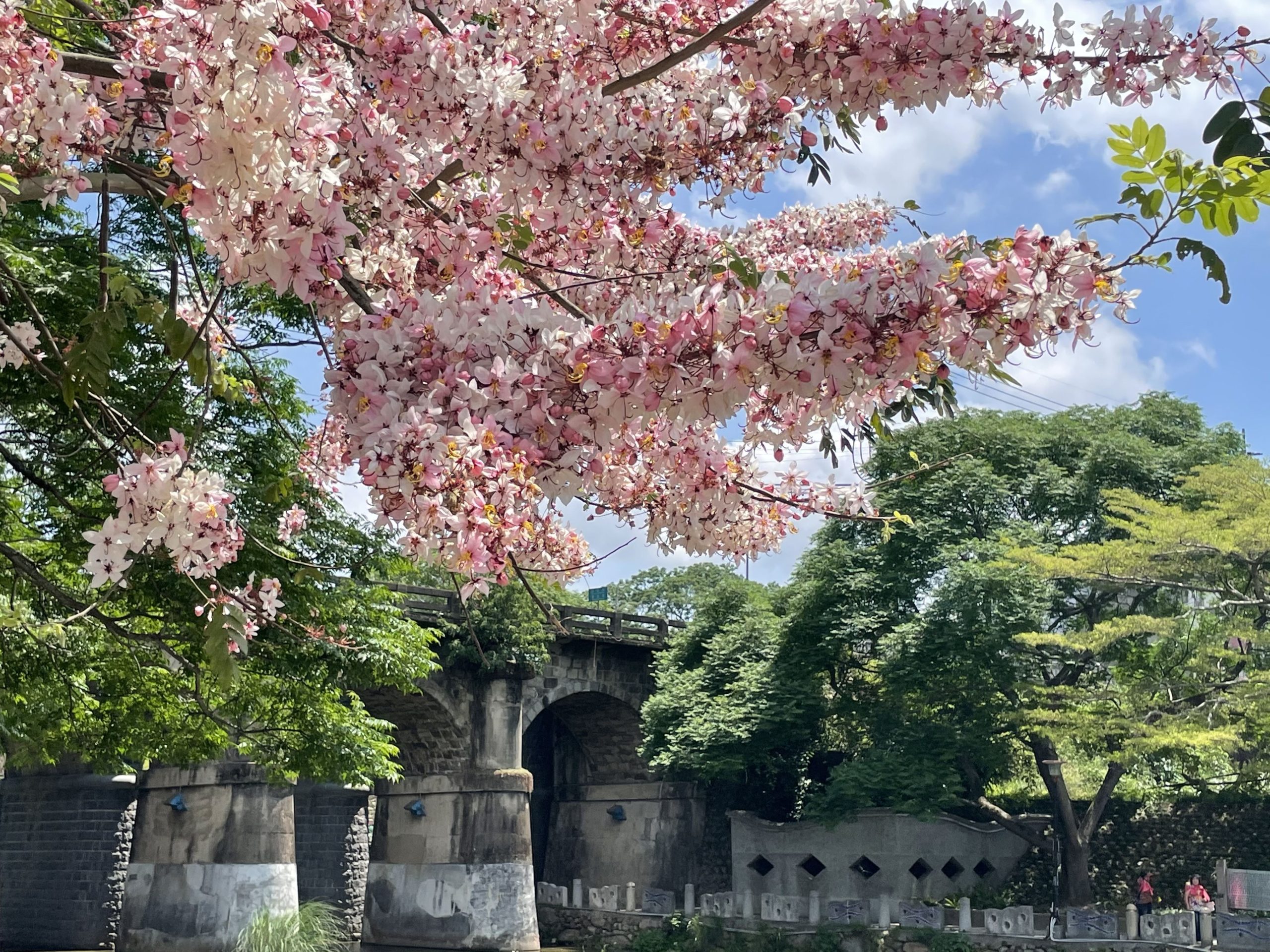 東安古橋。新竹縣政府提供