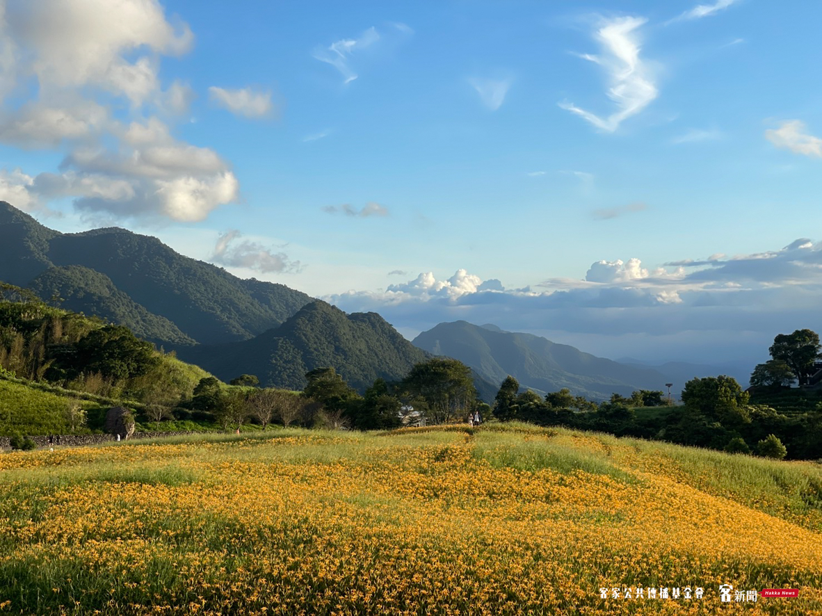 六十石山金針花昔日盛況,今年因高溫導致花況不佳,遊客也紛紛銳減,於2021年拍攝。客傳會