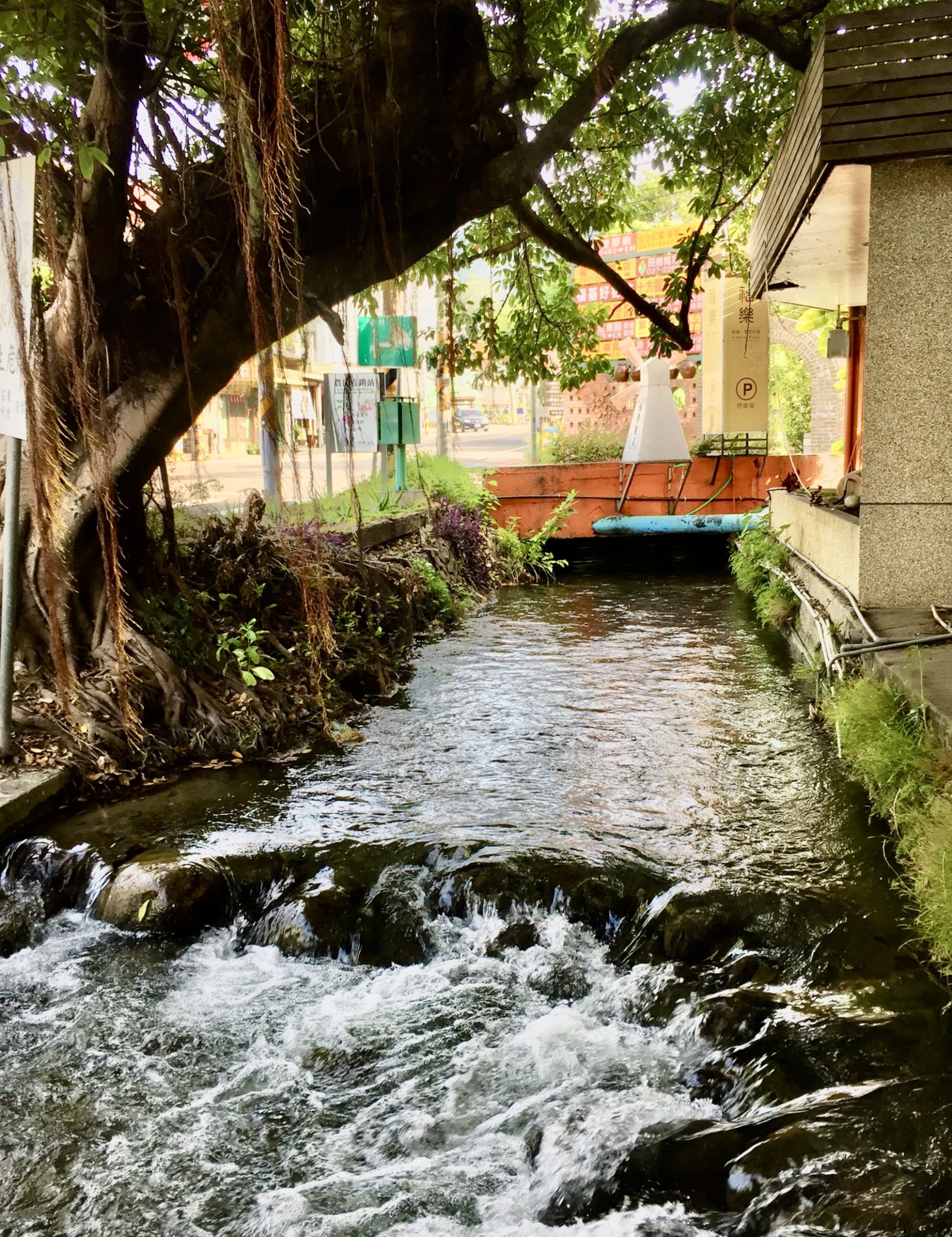 後龍溪水流經的川龍圳,是公館的地標。蕭秀琴攝