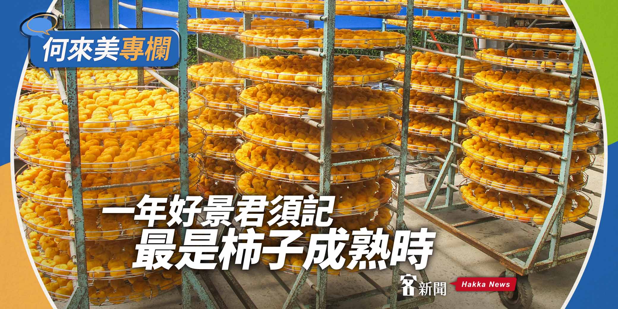 何來美專欄／一年好景君須記　最是柿子成熟時