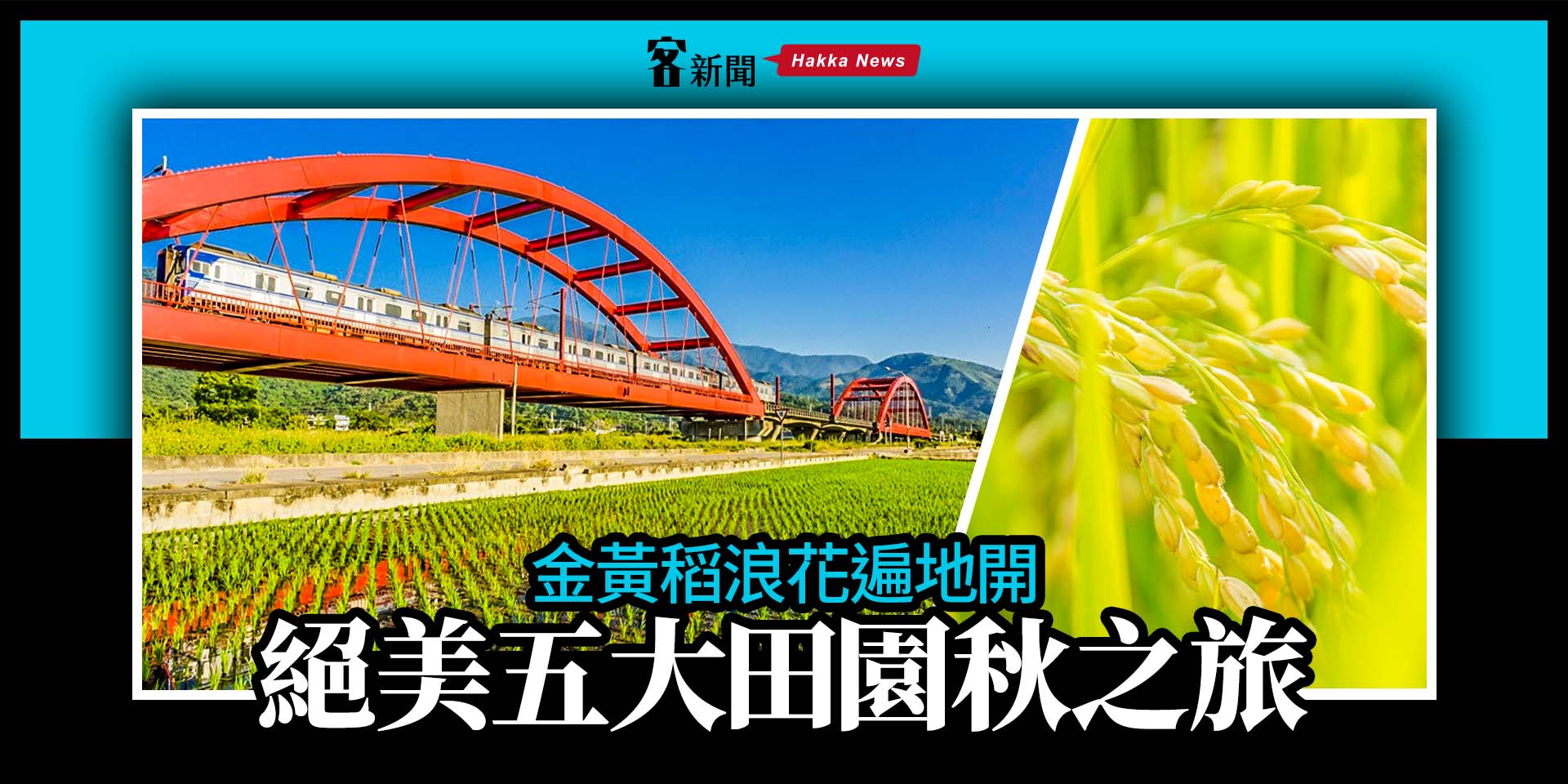 金黃稻浪花遍地開　絕美五大田園秋之旅