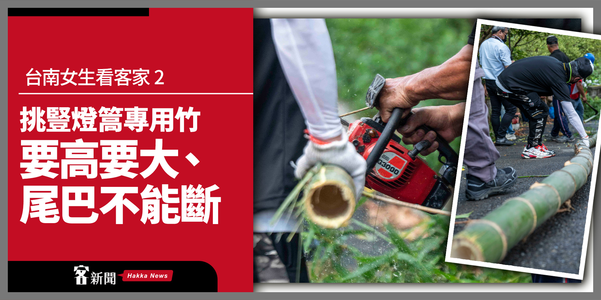 台南女生看客家 2／挑豎燈篙專用竹    要高要大、尾巴不能斷