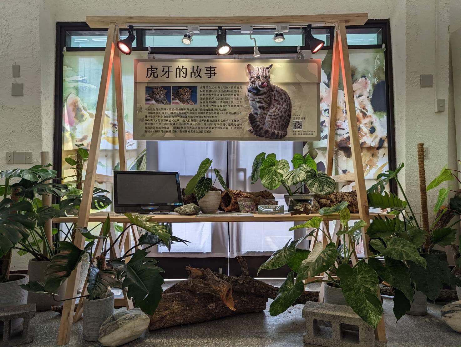 石虎故事,台灣石虎保育協會提供。
