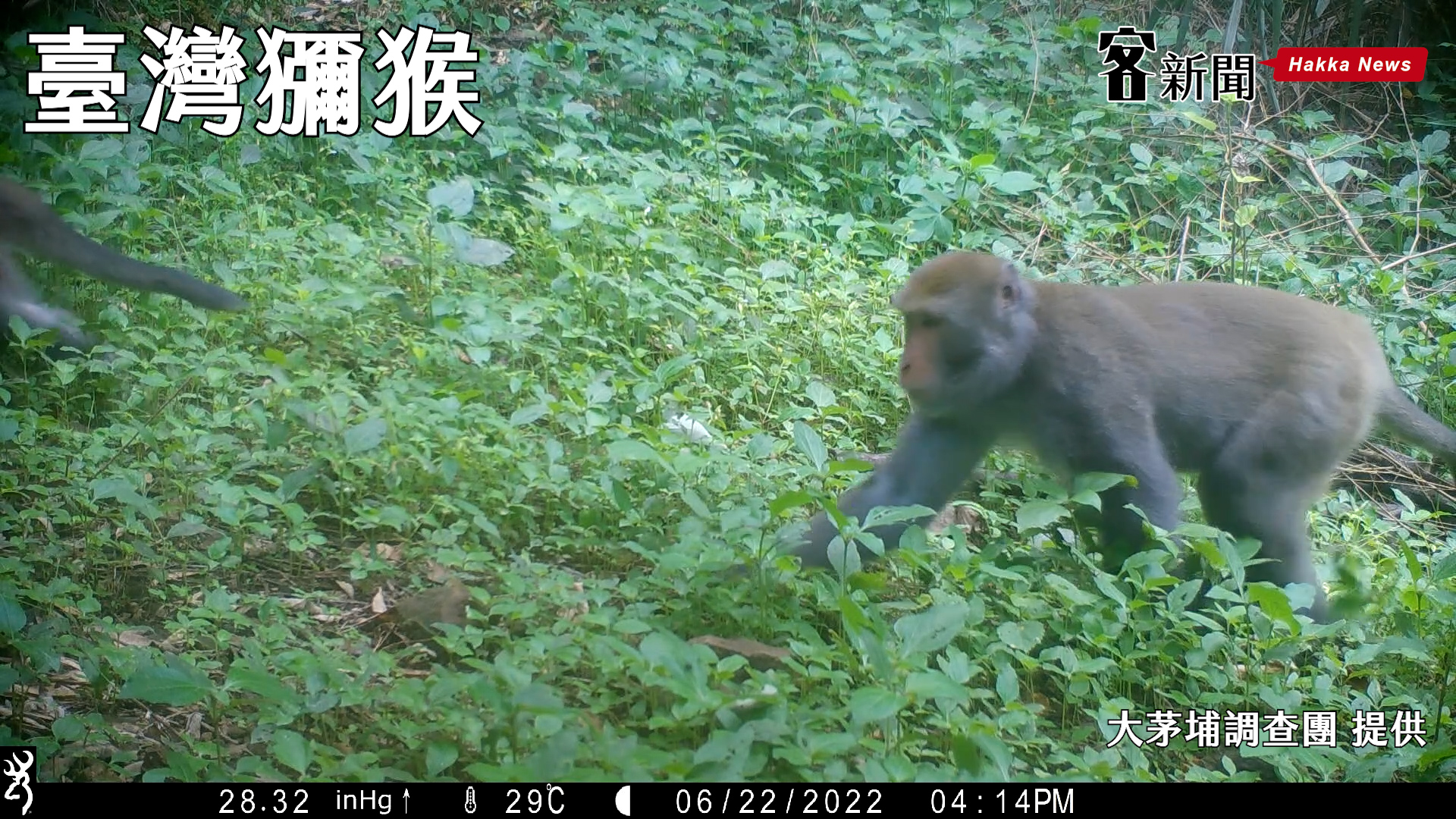 大茅埔調查團攝