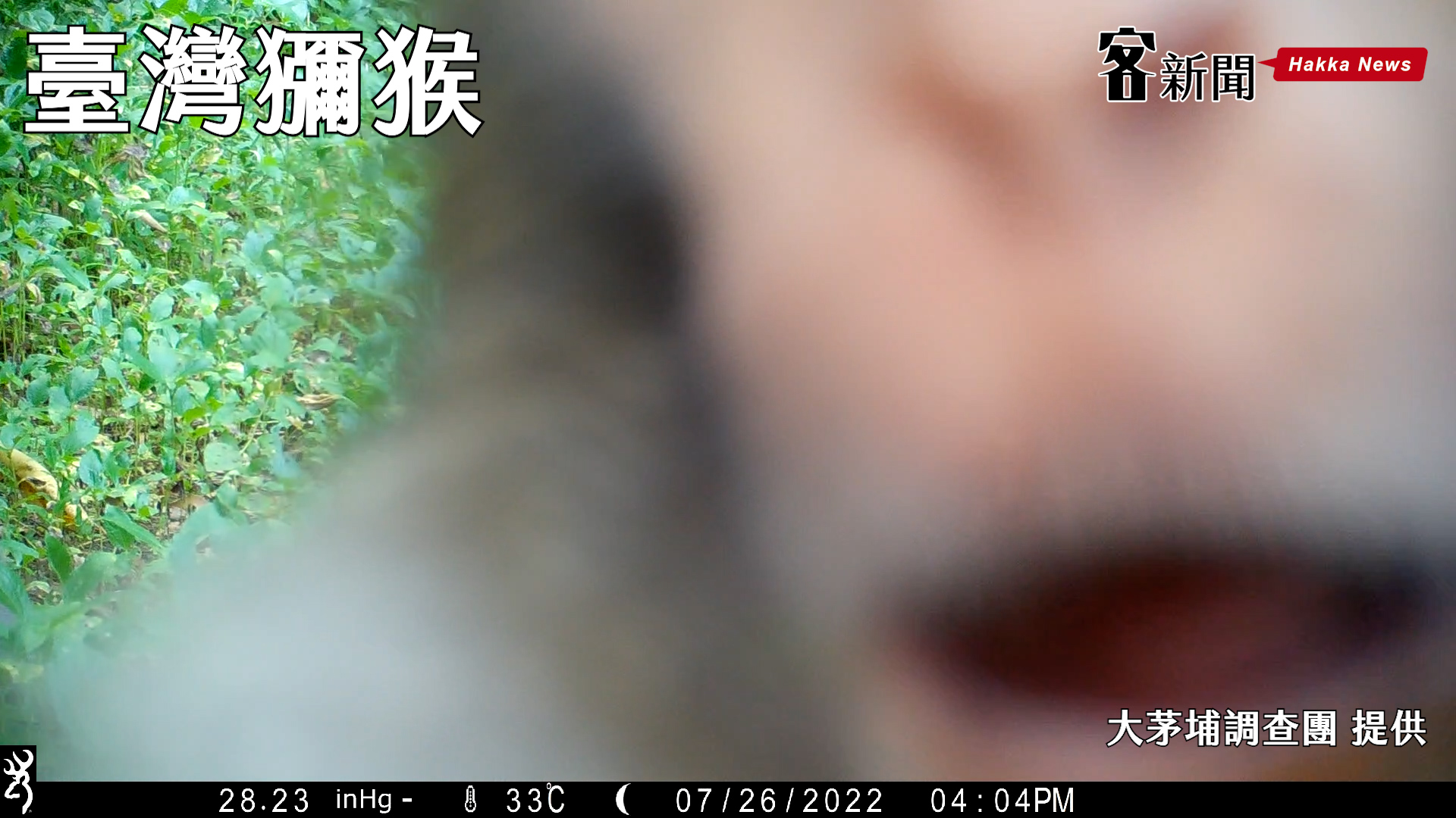 大茅埔調查團攝