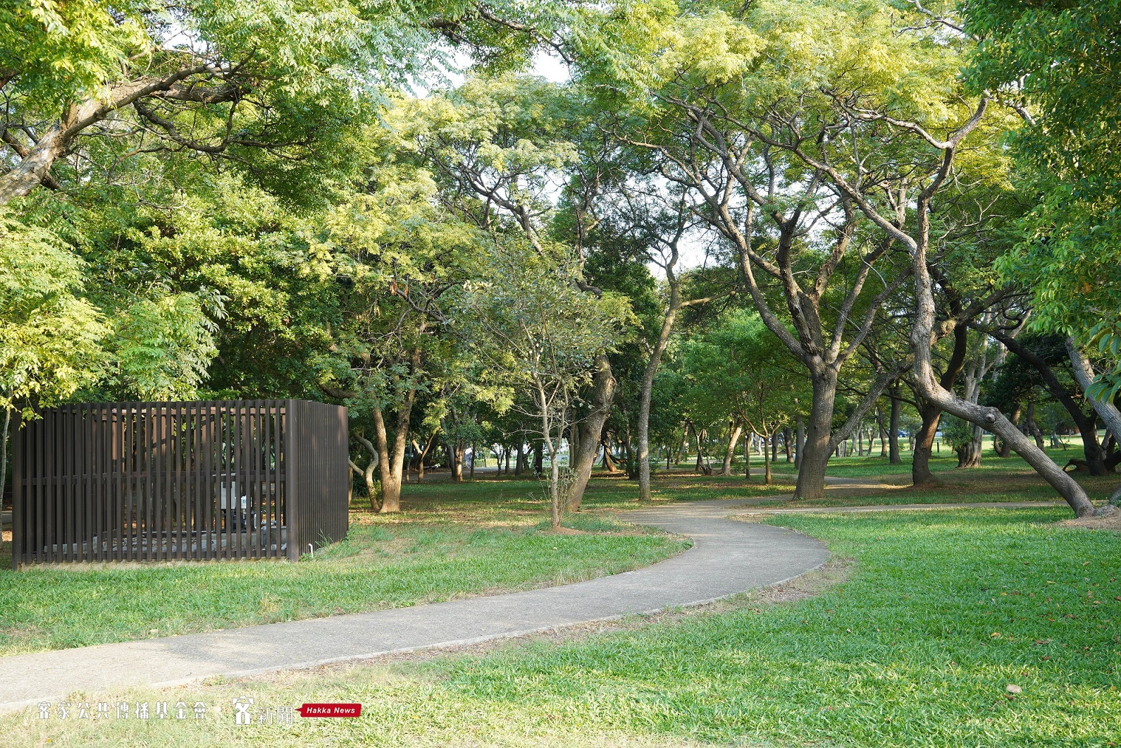 崙坪文化地景園區除了有千坪草皮，也有樹林秘境。李台源攝