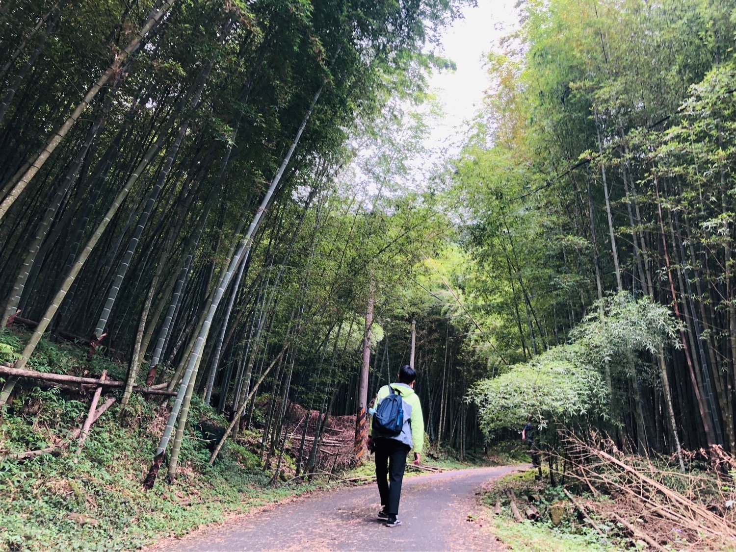 新北市三峽五寮除了是產筍的知名產地，風景也十分幽美，適合旅遊散心。新北市客家局