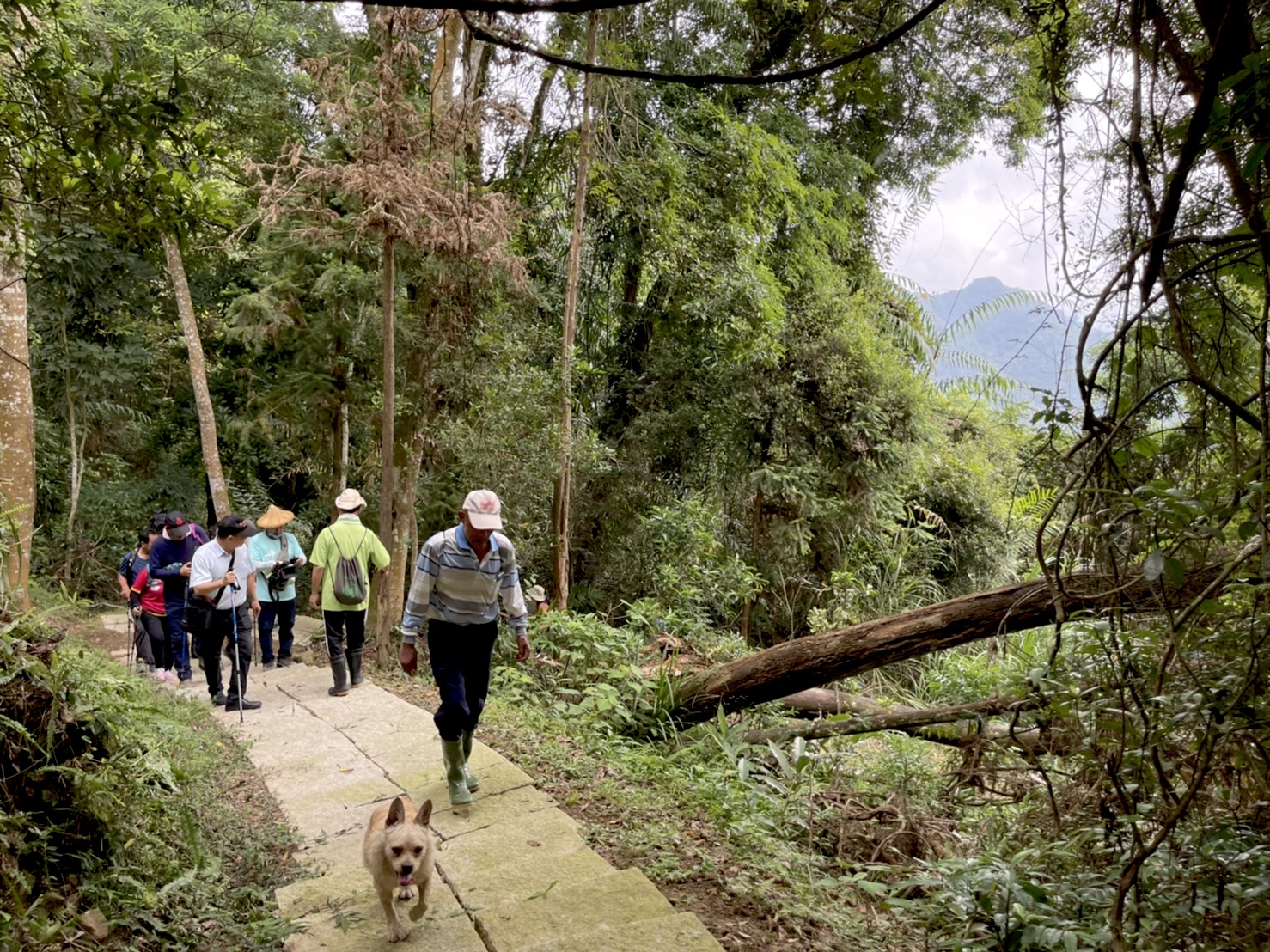 國姓鄉公所整修橫屏登山步道,鋪石板、增設休憩處等,讓步道更完善。楊靜茹攝