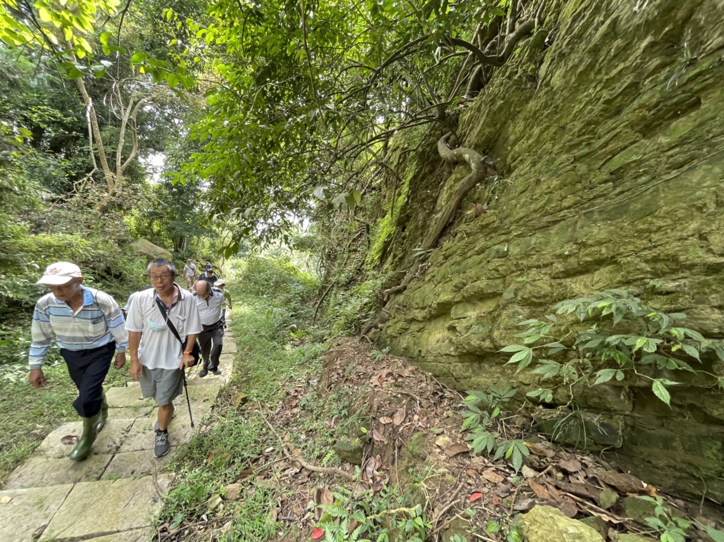 大橫屏山是台灣小百岳十峻之一,步道沿線可觀賞其頁岩地質。楊靜茹攝