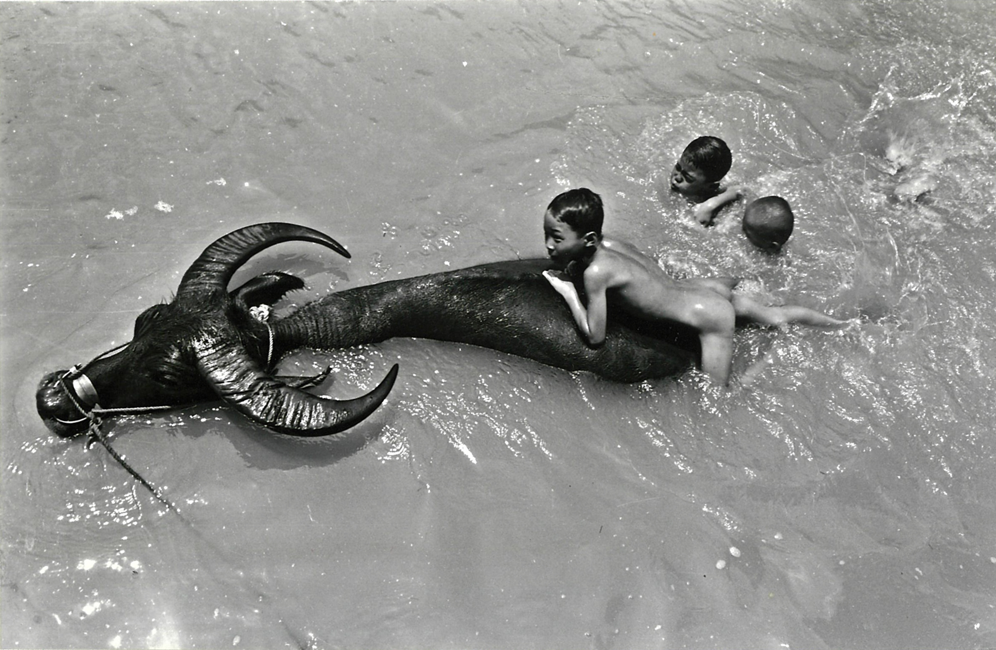 河中戲水/美濃東門樓,1964。