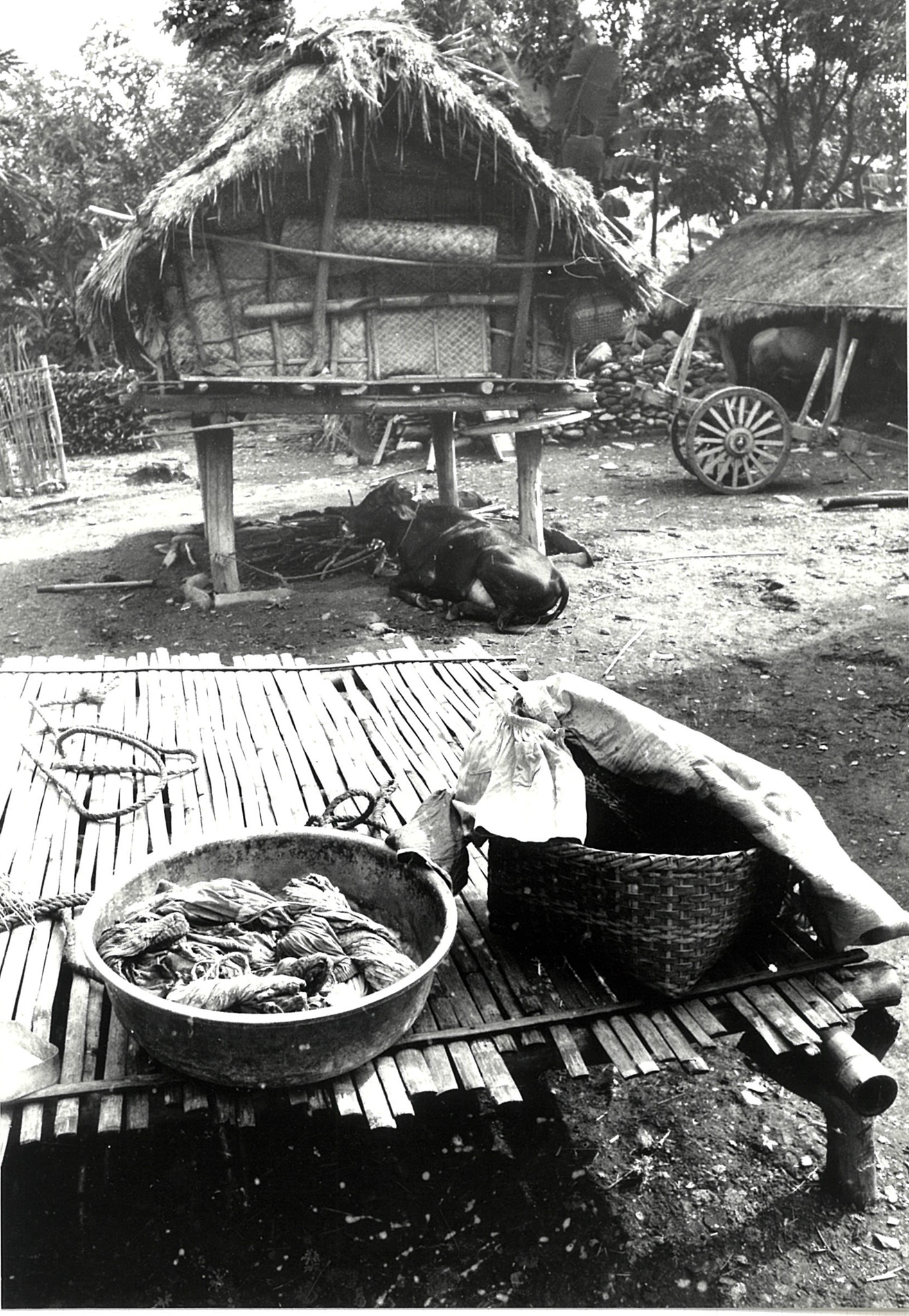 原住民的茅草屋。