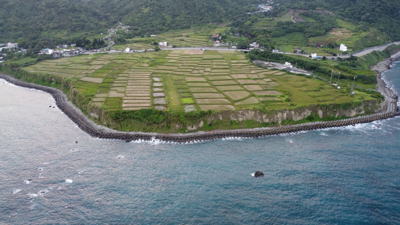 花蓮新社梯田。花蓮觀光資訊網提供