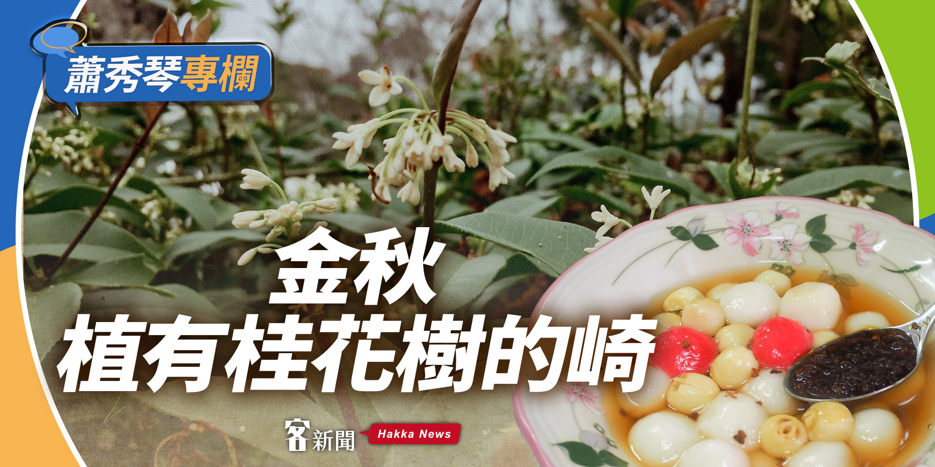 蕭秀琴專欄／金秋　植有桂花樹的崎