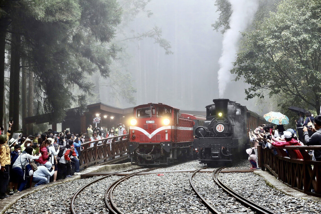 阿里山林鐵112年全線可通　農委會將規畫郵輪式列車