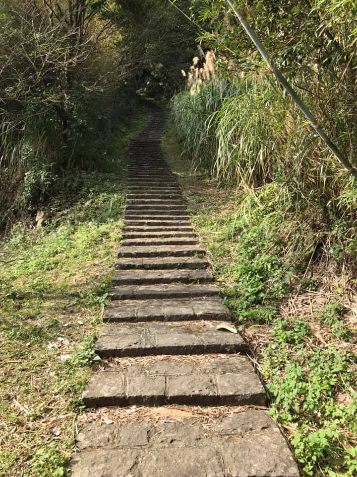 大崎崠步道。作者提供