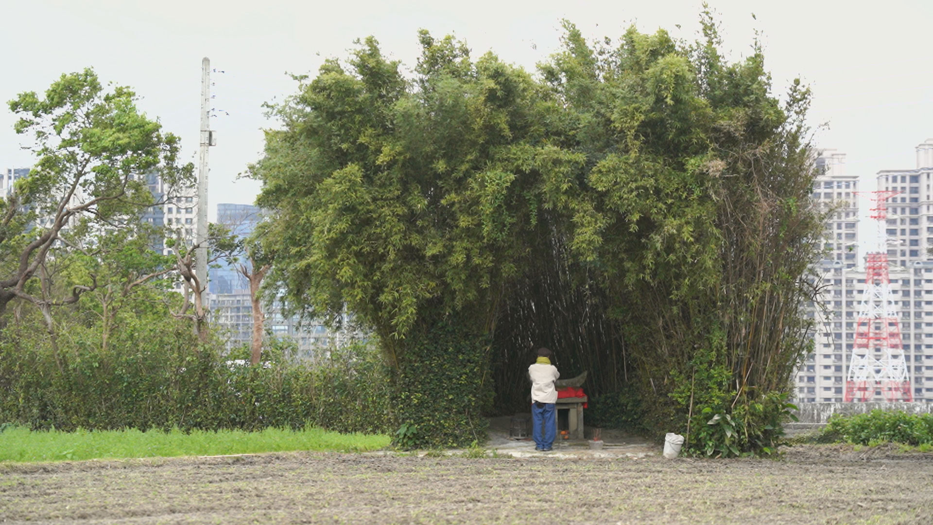 躲在竹林中的詹屋伯公。節目劇照
