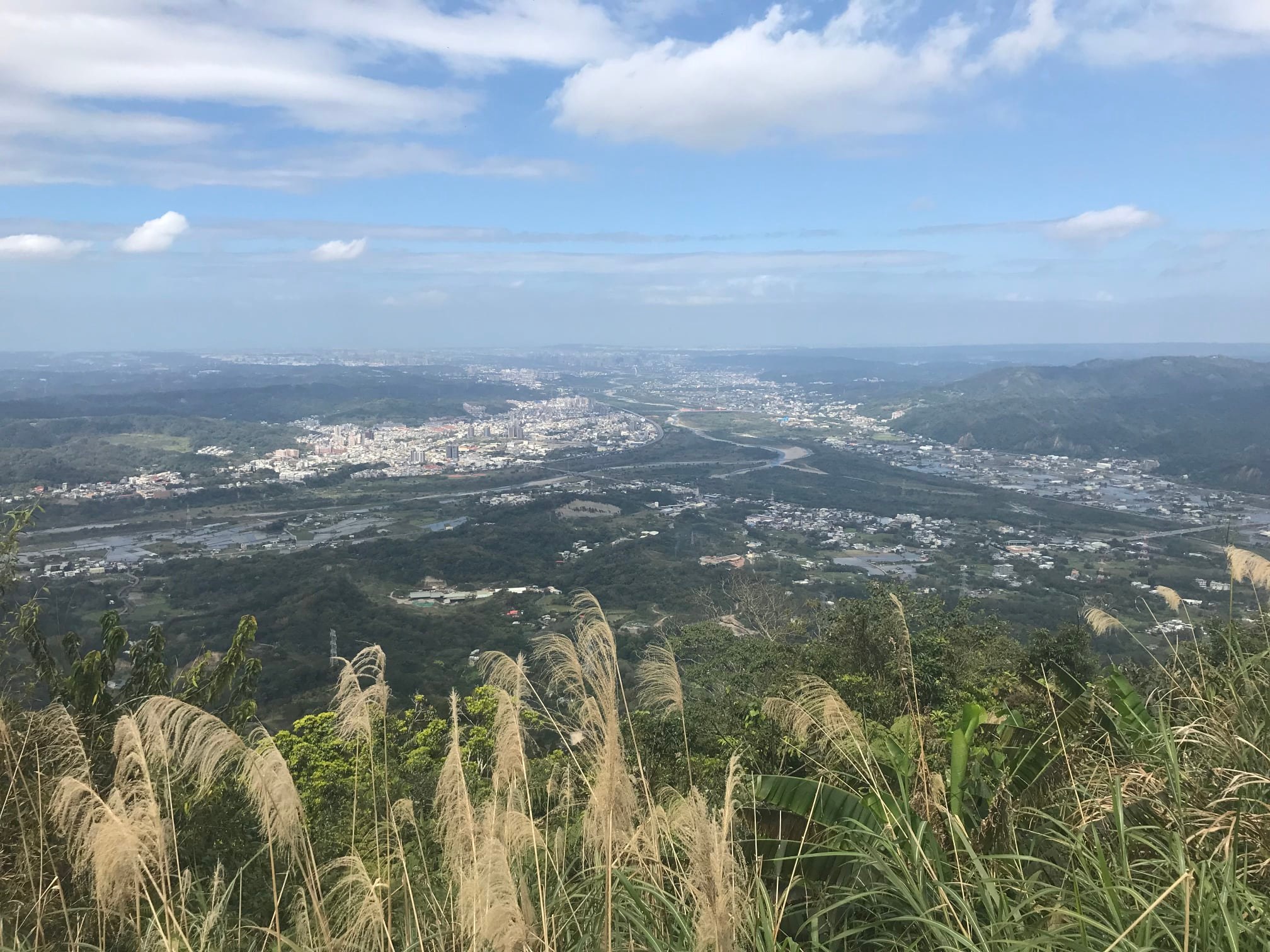 從山頂望去的風景。作者提供
