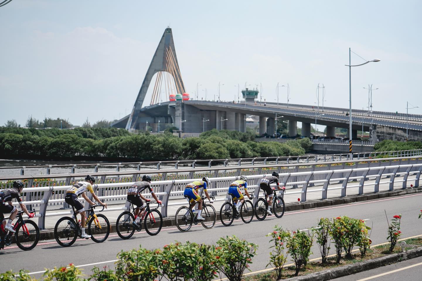 圖取自Tour De Taiwan國際自由車環台公路大賽